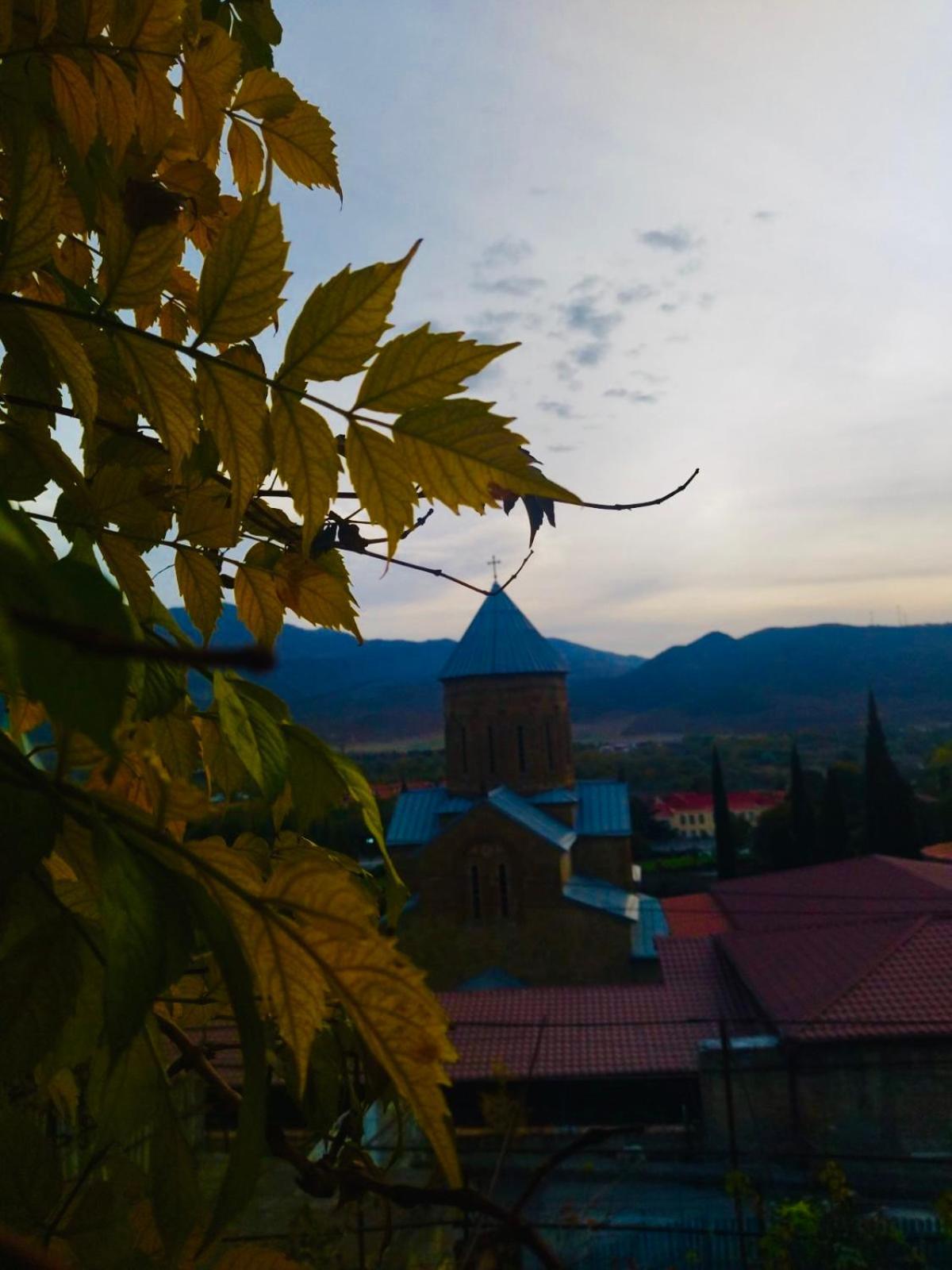 Отель Garden And Panorama Мцхета Экстерьер фото