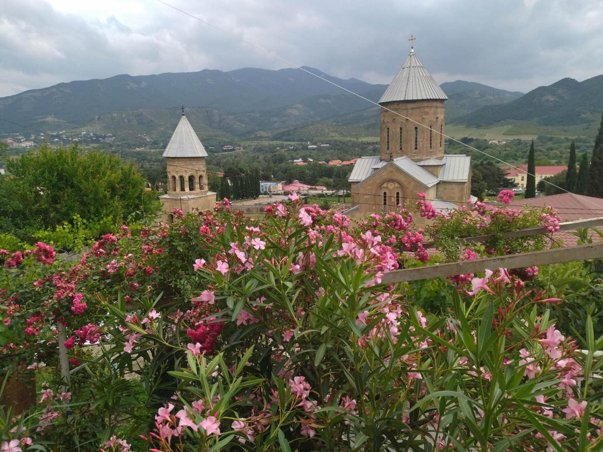 Отель Garden And Panorama Мцхета Экстерьер фото